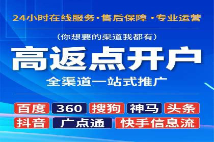 某行业领先企业背后的百度推广代理商策略