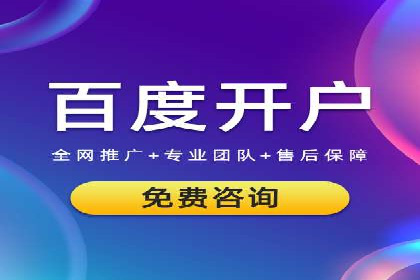 Sem优化公司实例：电商流量提升策略