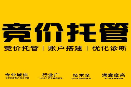SEM推广案例：提升网站转化率策略解析